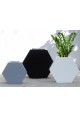 Hexagon Planter Set